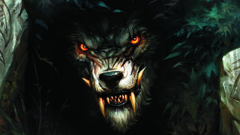 werewolves, 1080P, wolf, fantasy art, Worgen, World of Warcraft, creature, video games