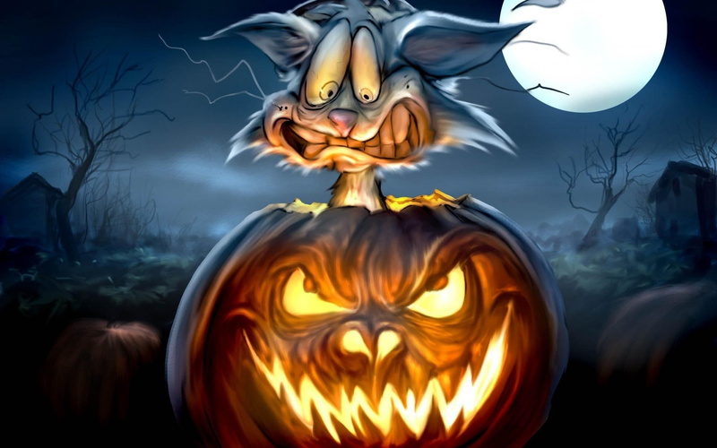 funny, pumpkin, 2K, moon, horror, monster, night, cat