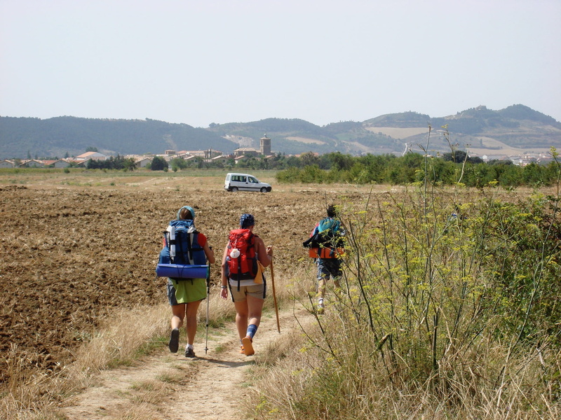walk, walking, hiking, camino santiago, grass, galicia, environment, mountain, way of st james, path, rear view, outdoors, plant, adult, land, 1080P, people