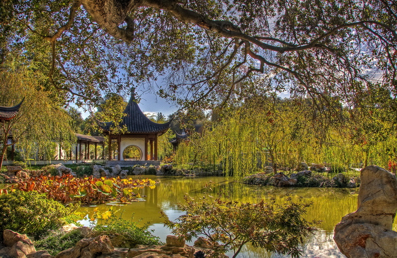 leaf, 2K, waterfront, tranquility, asia, park, buddhism, cultures, beauty In Nature, tranquil Scene, built Structure, nature, lake, park - Man Made Space