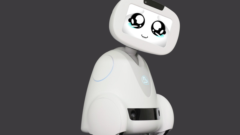 cocial-robot, 5K, start-up, Buddy Robot