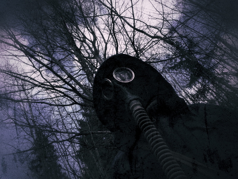 day, nuclear, bare tree, animal themes, trunk, animal, mask, no people, vignette, low angle view, coat, hooded, radiation, gas mask, tree trunk, built structure
