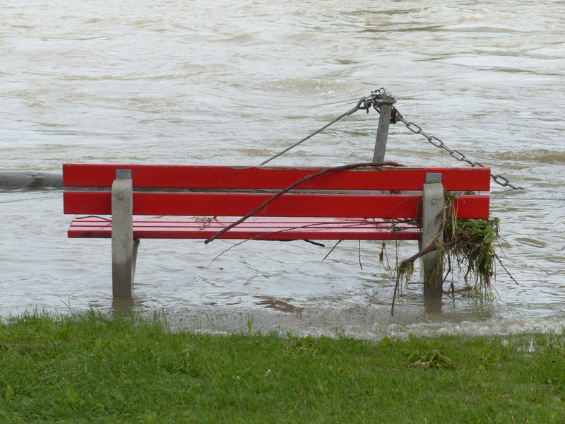 nature, 4K, outdoors, flood, climate change, plant, natural disaster, land, climate protection, flood disaster, civil protection, no people, riverside