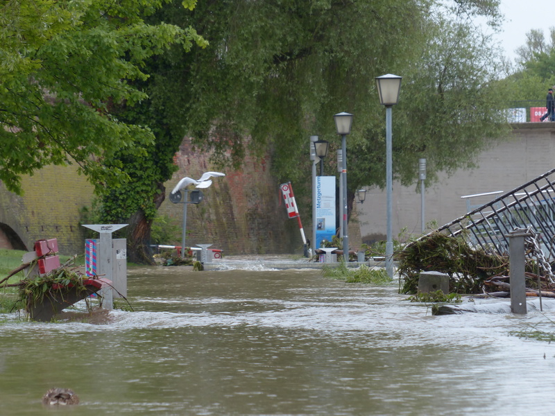 riverside, slurry, growth, ulm, water level, flowing water, road, wet, nature, outdoors, river floodplain, river, cloudiness, peak, transportation, white