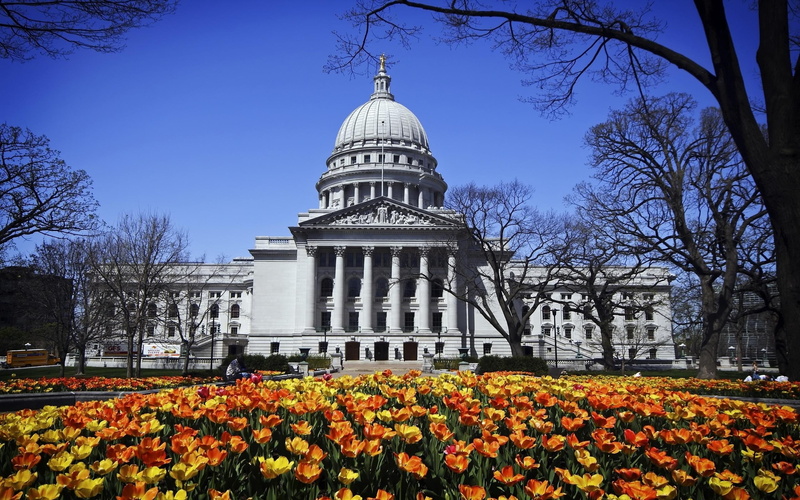 plant, famous Place, building Exterior, built Structure, house, history, vulnerability, washington, government, architectural column, flowering plant, architecture