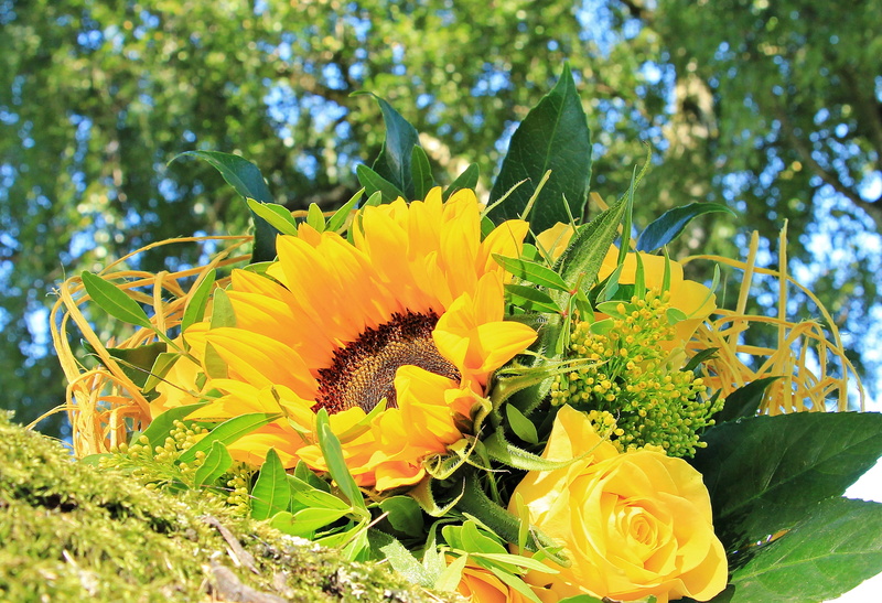 birthday, flowers, focus on foreground, day, beautiful, strauss, yellow, flora, decoration, decorative, springtime, freshness, sunflower, flower, tree