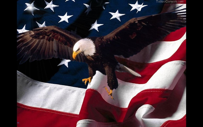 animal, red, vertebrate, 1080P, one animal, no people, eagle, star shape, shape, patriotism, striped, eagle - bird, bird of prey, confederate flag desktop  pictures