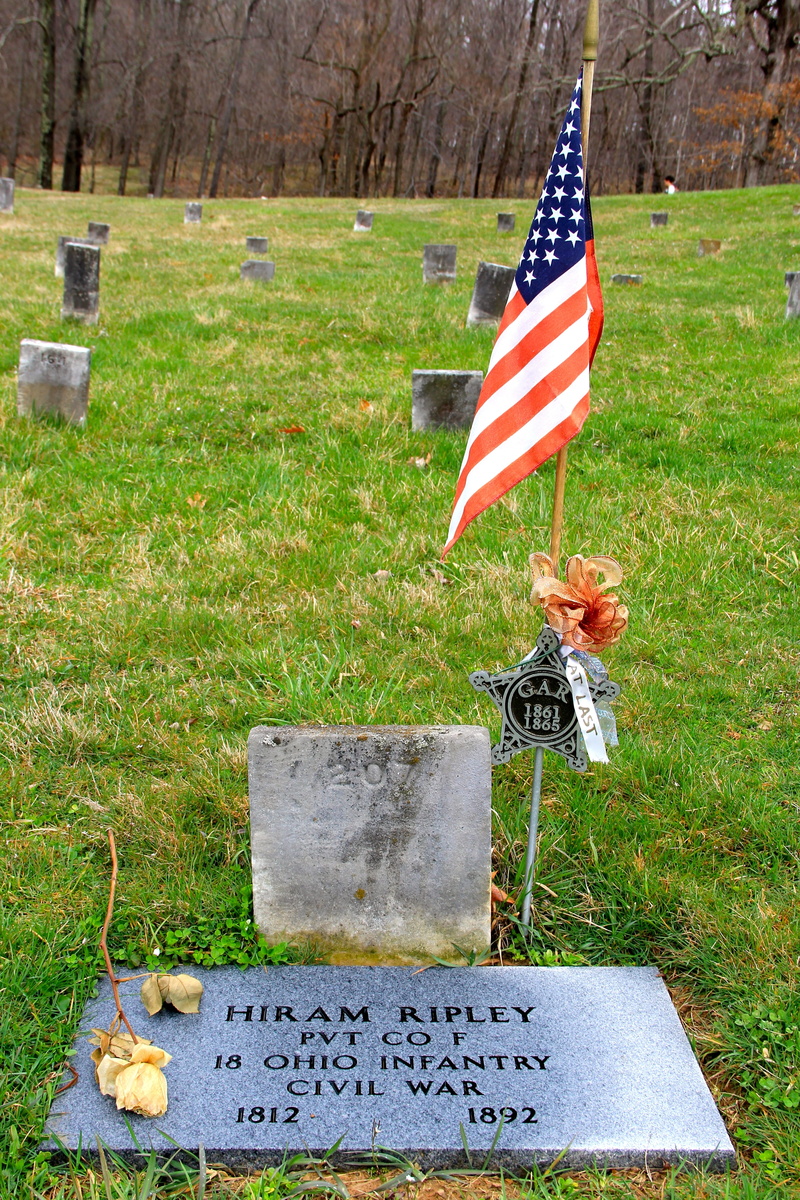 plant, confederate, nature, field, civil war, emotion, war, flag, patriotism, grass, outdoors, no people, cemetery, union, waving, grave, memorial, independence