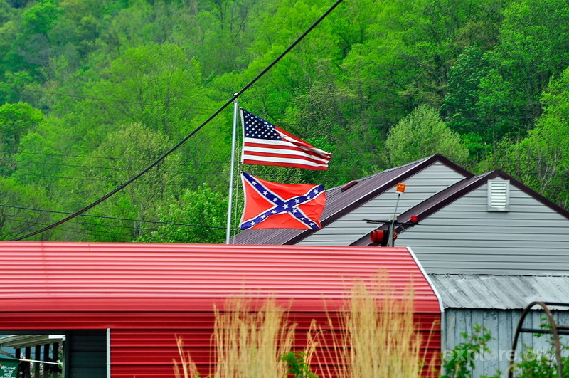 nature, flag, building, patriotism, multi colored, growth, day, outdoors, 1080P, striped, tree, built structure, green color, low angle view, plant, no people