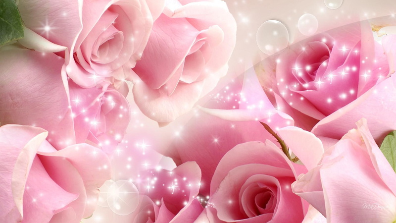 pink wedding, pink, widescreen, love, wedding, 1080P