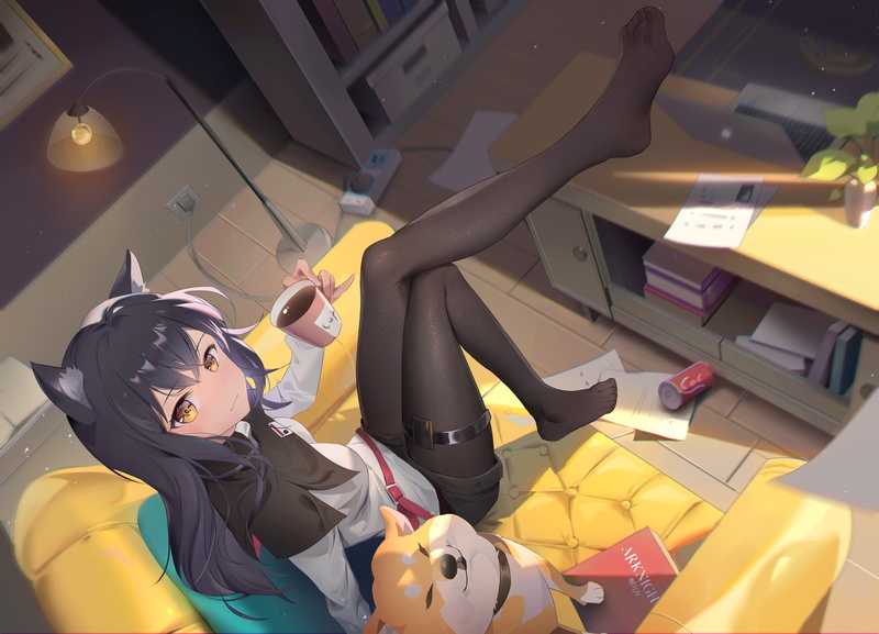 anime girls, Texas (Arknights), Somna, Arknights, 4K, animal ears