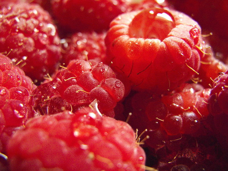 summer, freshness, summertime, Creative  Commons  attribution  license, organic, drops, red  fruit, Wet, food, summer  time, red, ripe, closeup, refreshment