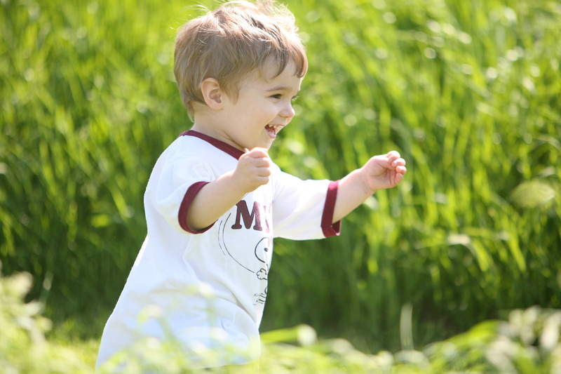 4K, boy, lush, happiness, portrait, smile, nature, child, cheerful, license, joy, wearing, white, toddler, summer, grass, neck, t-shirt, crew neck, smiling