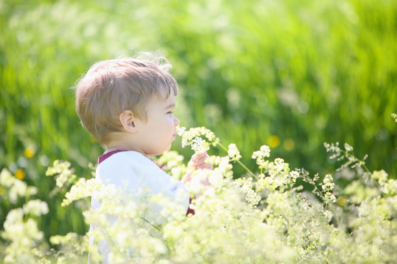 summer, joy, cute, children, springtime, petaled, daytime, burlington, baby, license, childhood, happiness, caucasian Ethnicity, cc, toddler, green, creativecommons