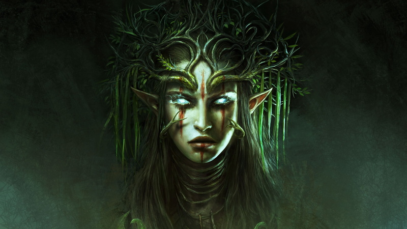 pointed ears, digital art, 1080P, fantasy art, video game art, elven, Divinity: Original Sin 2, blue eyes, artwork