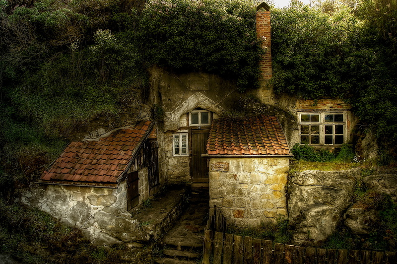 tree, atmospheric, dark, roof, mood, building exterior, built structure, building, lighting, rock, forest, light, landscape, plant, growth, atmosphere