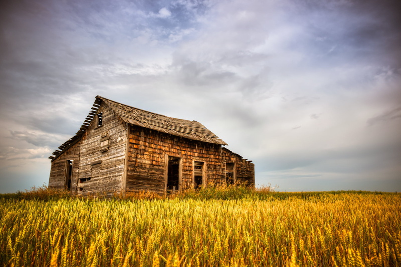 1080P, Canada, nature, rural Scene, rural, field, Dirty, barn, hut, farm, old, seasons, Collars, rice field, Summer, nipa hut, rice, abandoned, nipa, countryside