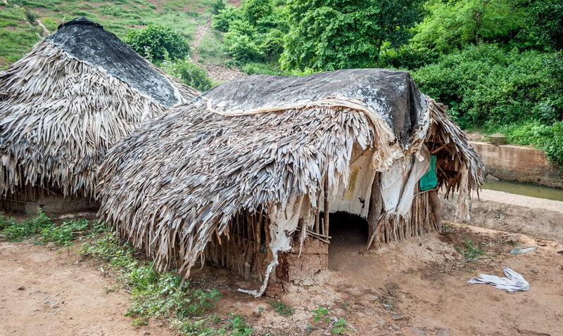 poverty, plant, landscape, ethnic, field, mud, day, scenics - nature, thatched, growth, village, tribal, home, environment, wood - material, architecture
