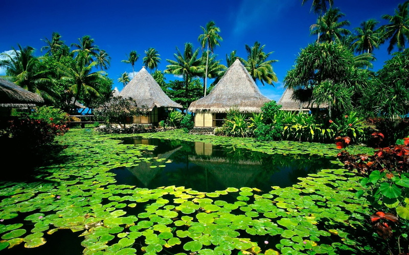 no people, outdoors, famous Place, nature, house, tropical Climate, island, roof, water, palm trees, exoticism, idyllic, scenics, built structure, huts