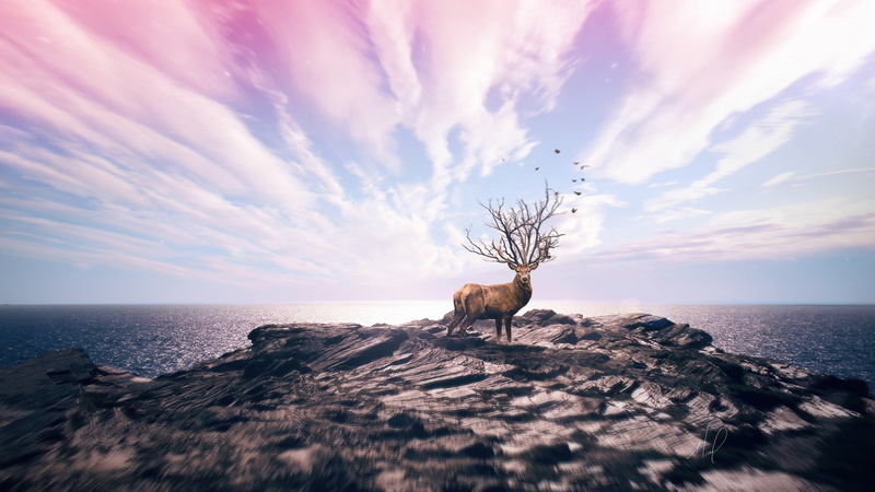 4K, deer, HD, fantsy, 4k, 8k, cliff
