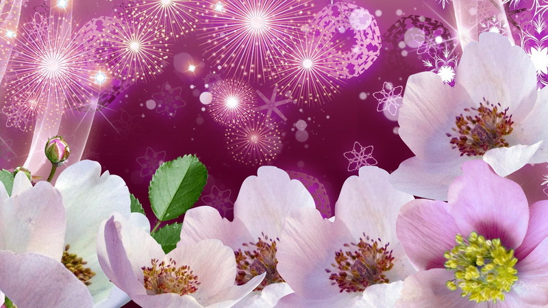 bright, flower, spring, 3d and ab, pink, firefox persona, fireworks, explosions, summer, stars, purple, 1080P, flowers