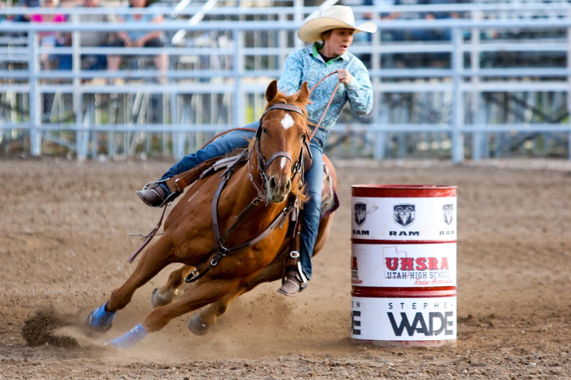 4K, trot, hat, western, horses, riding, rodeo, real people, co, barrel, domestic, one animal, day, ride, mammal, domestic animals, competition, animal wildlife