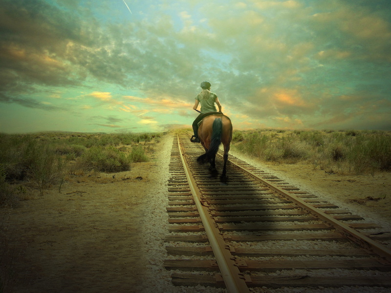 transportation, sky, nature, outdoors, the way forward, reiter, real people, animal, track, one person, stall, cowboy, 2K, western, animal wildlife, cloud - sky