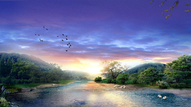 sunset, morning, painting, firefox persona, clouds, forest, swans, trees, hour, dream, sunrise, golden, 1080P, color, river, 3d and abstract