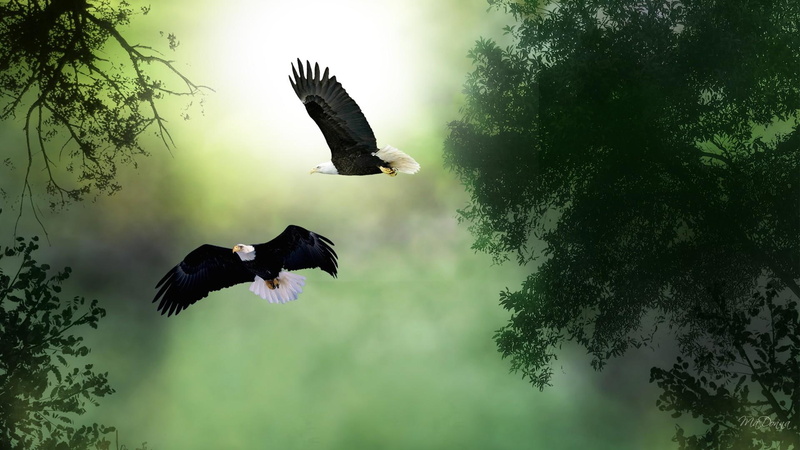 trees, birds, goth, 3d and abstract, eagles, firefox persona, glow, 1080P, full moon, moonlight, green