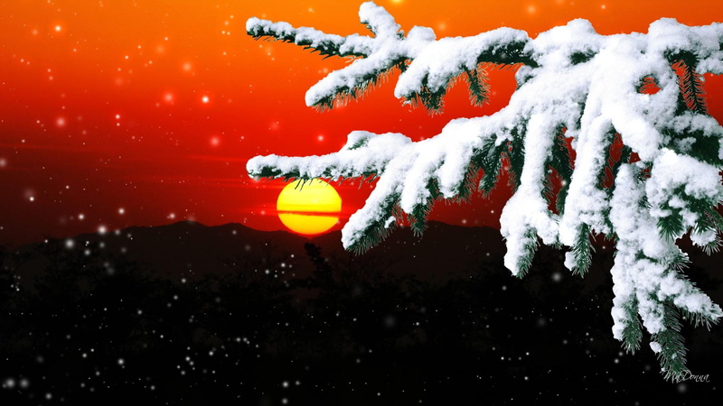 cold, snowing, 1080P, firefox persona, tree, winter, 3d and abstract, snow, sunset