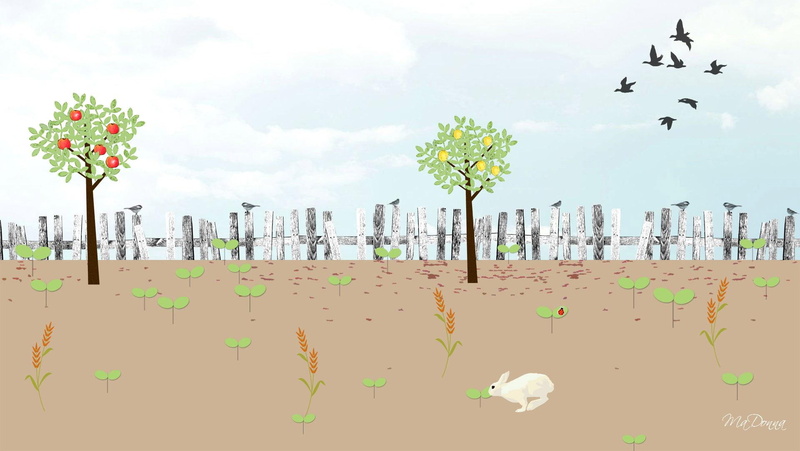 growing, birds, lemon tree, 1080P, 3d and abs, plants, garden, orange tree, bunny rabbit, abstract, firefox persona, fence