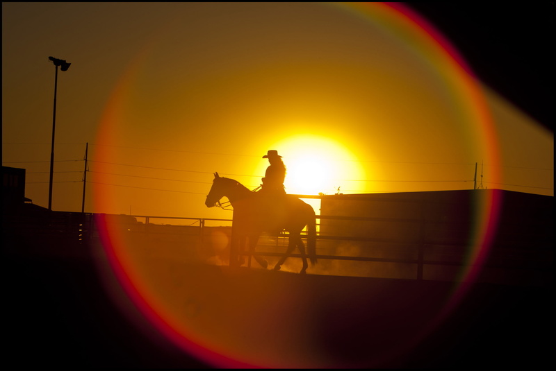 cowgirl, girl, horse, cowboy, sunset, 1080P, mood