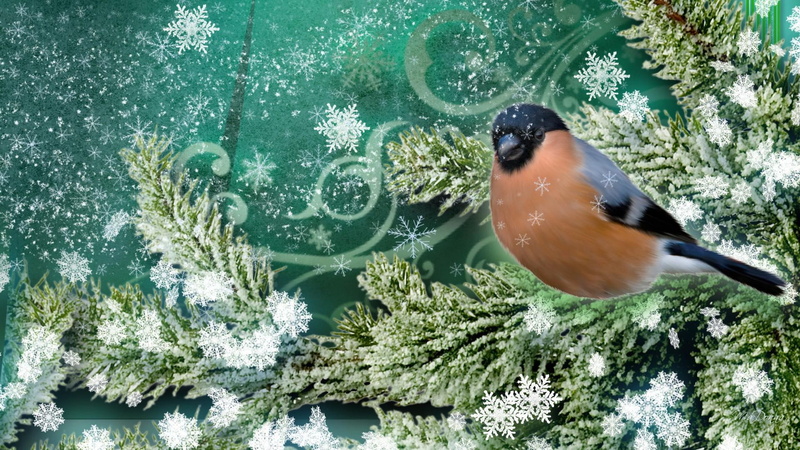 snowing, ze, christmas, cold, bird, firefox persona, 3d and abs, snow, tree, snowflakes, winter, flakes, 1080P
