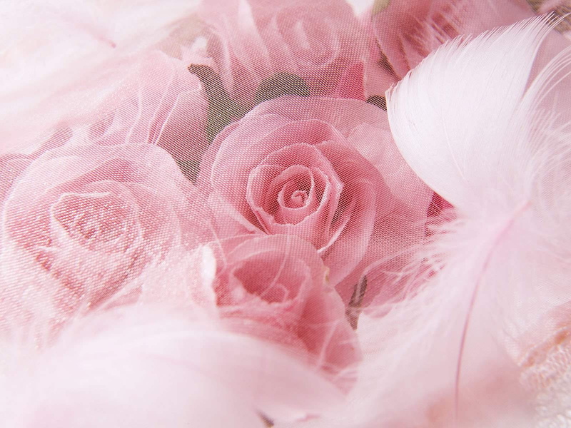 720P, veils, field, love, wedding, flowers, depth of field, rose, depth, photography