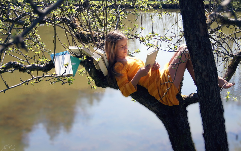 Read, Girl, Tree, Books, 2K