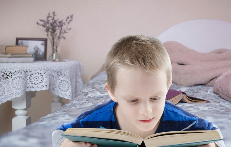 kid, grade, concentration, headshot, boy, white, publication, achievement, read, furniture, portrait, innocence, test, book, fun, shirt, books, bedroom