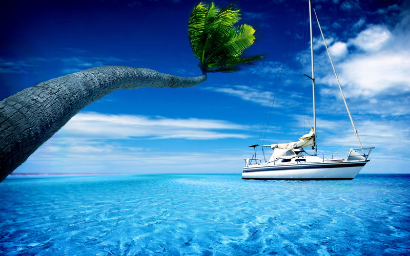 yachts, boat, sea, palm trees, 4K