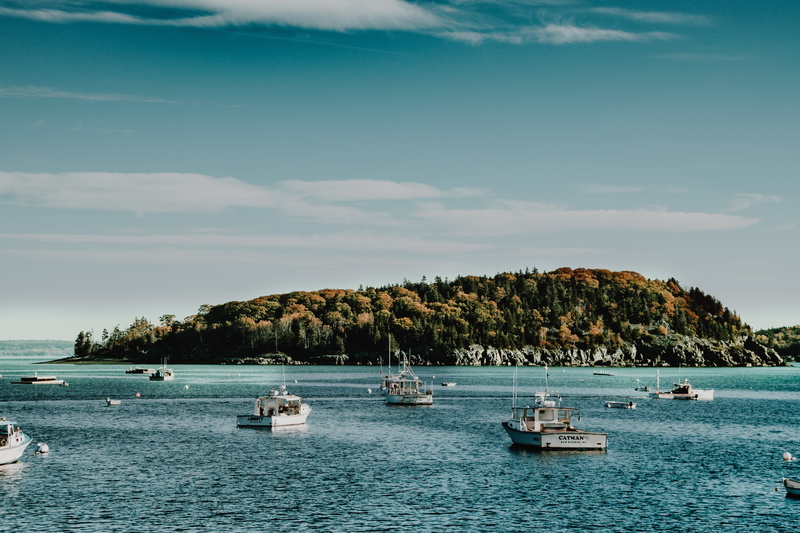 transportation, day, clouds, outdoors, fishing, daylight, beach, travel, bay, anchored, island, sea, summer, tranquility, trees, sailboat, ship, tree, blue sky