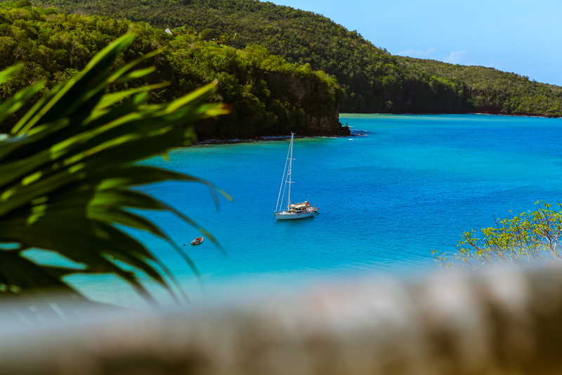 lake, yachting, tropical, green, sailboat, forest, landscape, beauty In Nature, tourist Resort, tourism, body, tree, sail boat, vacations, plant, land