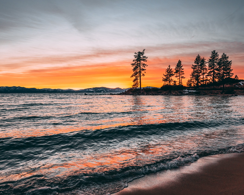 4K, across, tranquil scene, beach, tree, fir, scenics - nature, sunlight, abies, no people, land, wave, tranquility, plant, beauty in nature, sunset, waterfront