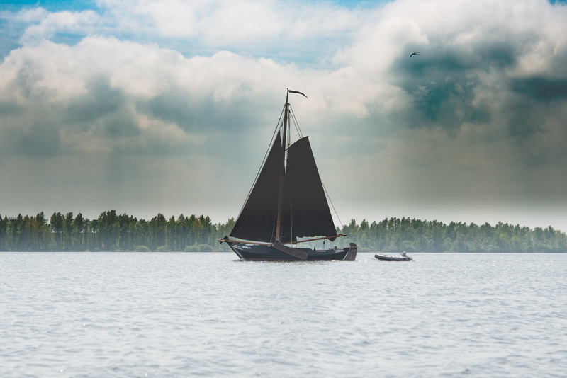 wave, plant, lake, scenics - nature, 4K, sailing, beauty in nature, overcast, boat, nature, yacht, ocean, body, cloudy, adventure, sea, mode of transportation