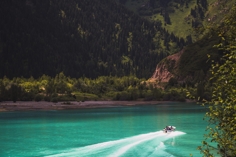transportation, nautical vessel, mode of transportation, speed, seashore, scenic, summer, lifestyles, turquoise, green, tree, idyllic, white, outdoors