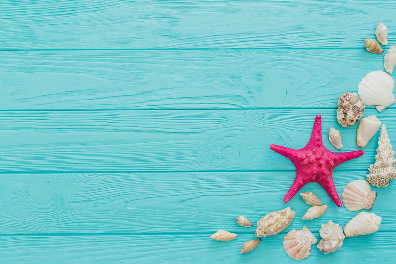 leisure activity, starfish, blue background, vacations, real people, day, seashells, women, lifestyles, shell, red, rear view, relaxation, adult, holiday