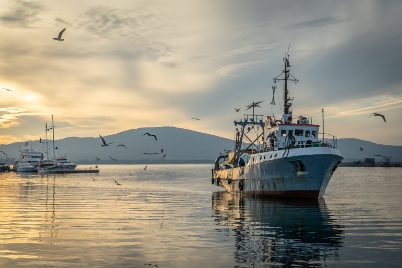 transportation, mode of transportation, animal, tranquil scene, fishing vessel, fishing, marine, sunset, ocean, scenics - nature, bulgaria, waterfront