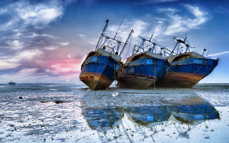 cold, fishing boat, damaged, shipwreck, beach, deterioration, horizon over water, blue, fishing, sailboat, sky, tranquility, moored, mode of transportation