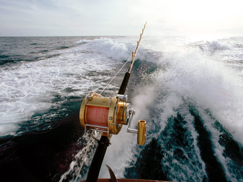 sailing, speed, fishing, mode of transportation, horizon over water, horizon, vacations, scenics, pollution, action, wind, sky, sea, blurred motion, summer