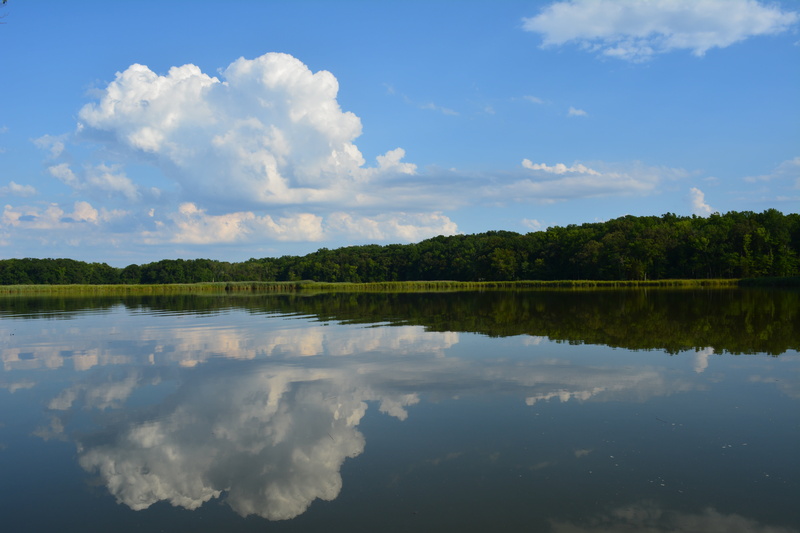 water, tranquility, maryland, cloud - sky, day, chesapeake bay, idyllic, outdoors, waterfront, non-urban scene, river, beauty in nature, tree, green color