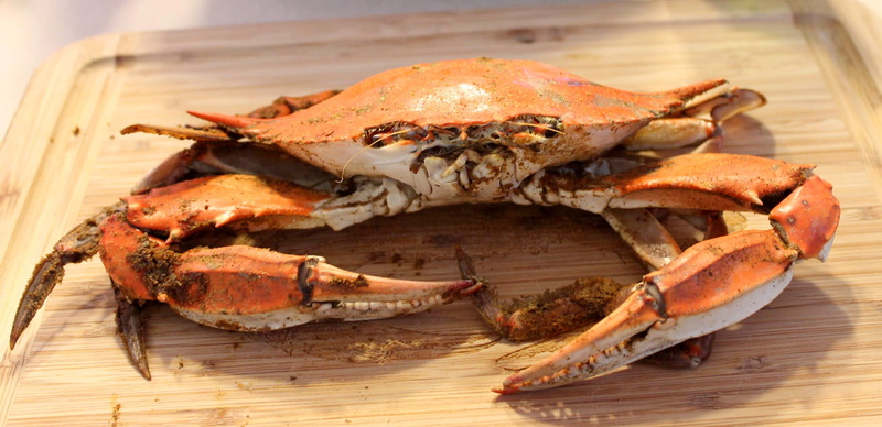 food, food and drink, close-up, ready-to-eat, crab - seafood, crustacean, wood - material, maryland, fish, spice, barbecue, high angle view, no people