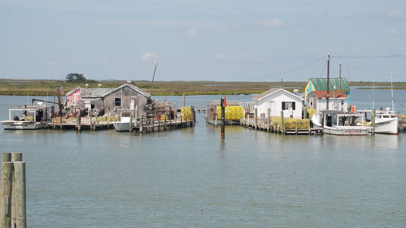 no people, built structure, summer, seashore, wooden post, river, architecture, sunny, tangier island, virginia, fishing industry, sky, nautical, 2K, transportation