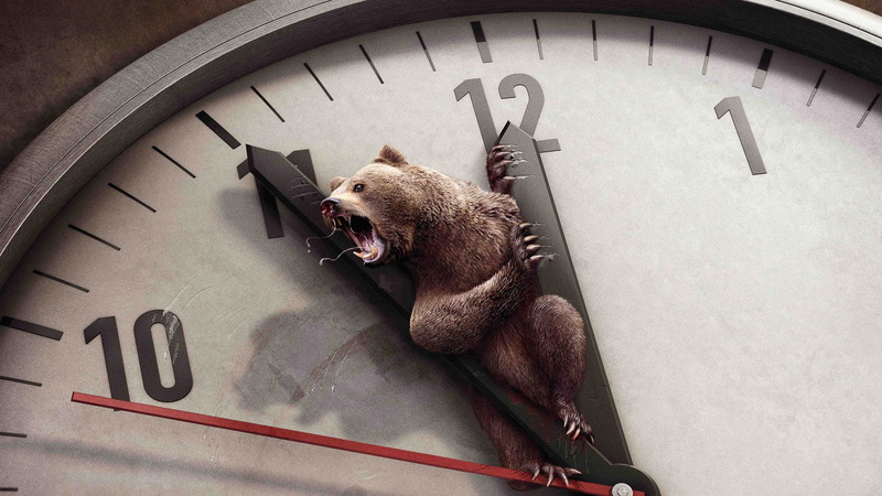 number, chesapeake bay retriever, mouth, communication, deadline, mouth open, clock, vertebrate, 1080P, hunting dog, animal wildlife, wall clock, dog